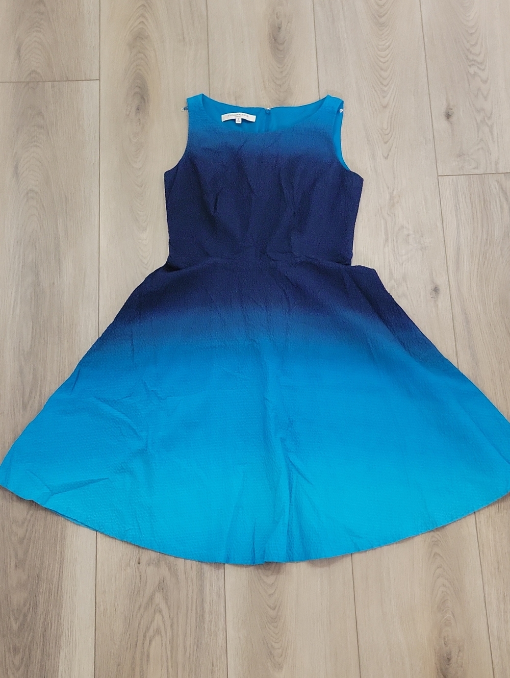 Evan Picone Blue Ombre Fit-and-Flare Mini Dress